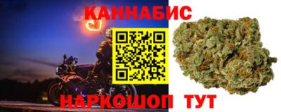 шишки Донецк