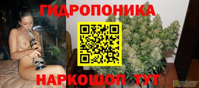 шишки Донецк