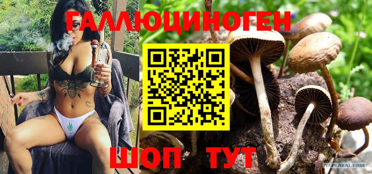 Галлюциногенные грибы прущие грибы  Вход с VPN  Медногорск  Псилоцибиновые грибы прущие грибы 